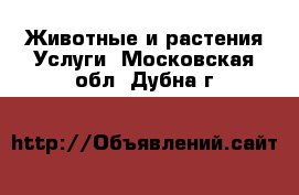 Животные и растения Услуги. Московская обл.,Дубна г.